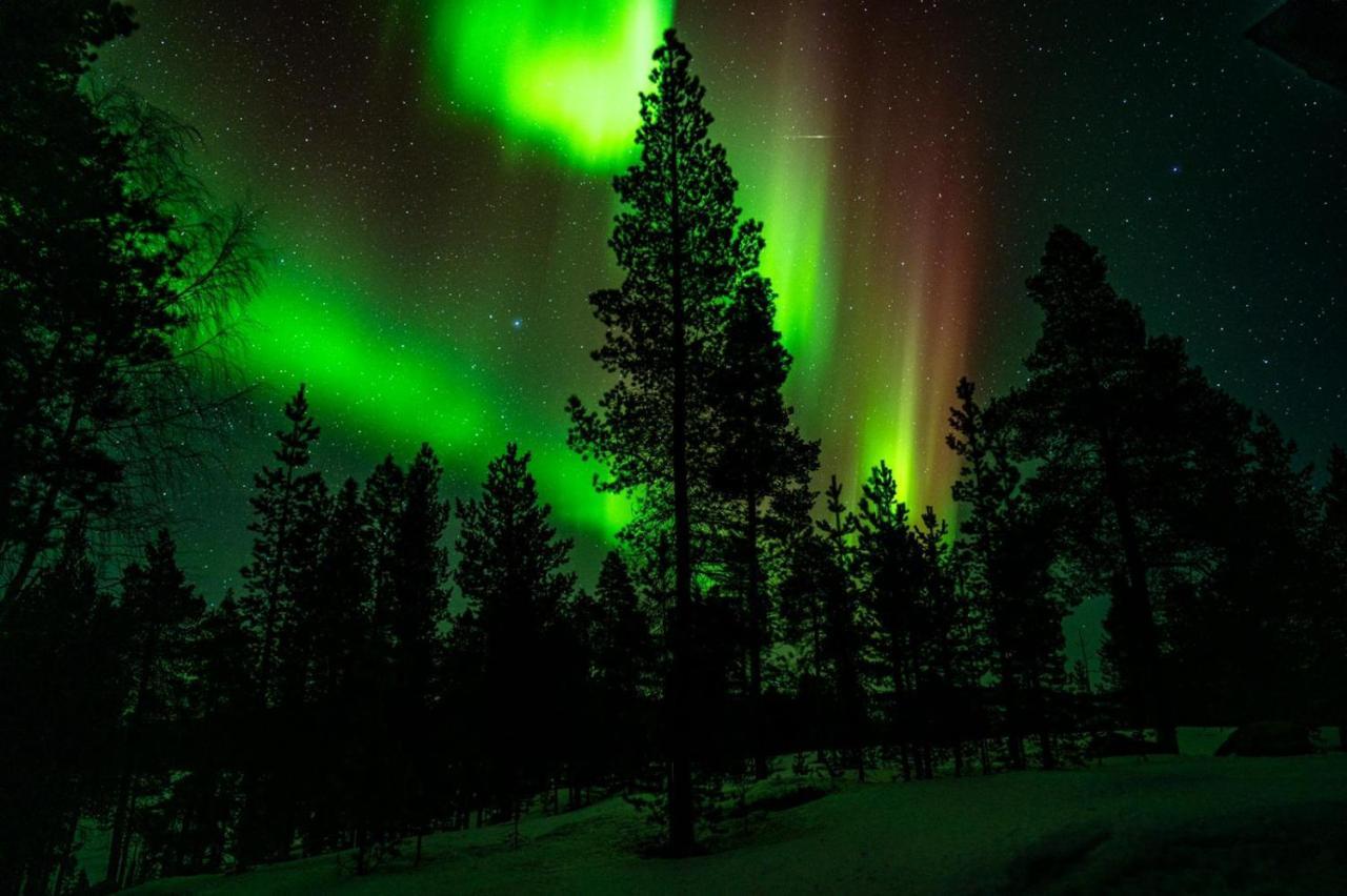 Norlight Cottages Ivalo - Tuli Exterior foto